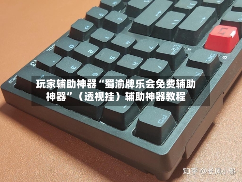 玩家辅助神器“蜀渝牌乐会免费辅助神器”（透视挂）辅助神器教程-第2张图片