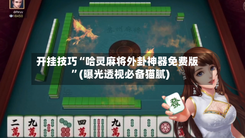 开挂技巧“哈灵麻将外卦神器免费版”(曝光透视必备猫腻)-第2张图片