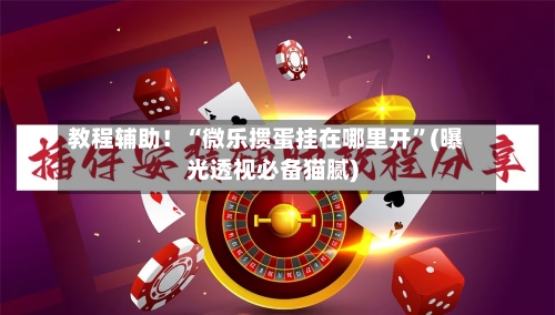 教程辅助！“微乐掼蛋挂在哪里开	”(曝光透视必备猫腻)-第2张图片
