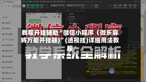 教程开挂辅助“微信小程序（微乐麻将万能开挂器)”(透视挂)详细用法教程-第2张图片