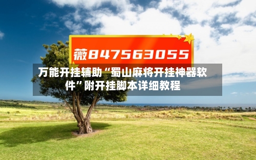 万能开挂辅助“蜀山麻将开挂神器软件”附开挂脚本详细教程-第2张图片