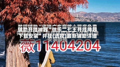 辅助开挂神器“微乐二七王开挂神器下载安装”开挂(透视)最新辅助详细-第2张图片
