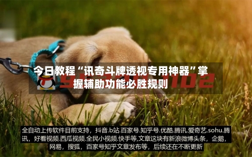 今日教程“讯奇斗牌透视专用神器	”掌握辅助功能必胜规则-第2张图片
