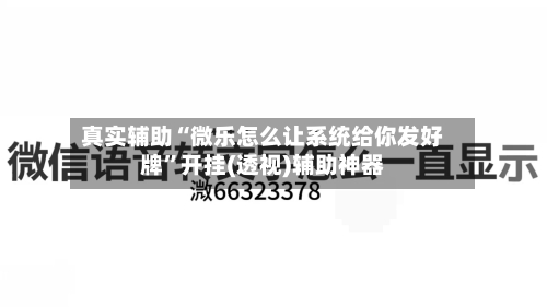 真实辅助“微乐怎么让系统给你发好牌”开挂(透视)辅助神器-第2张图片