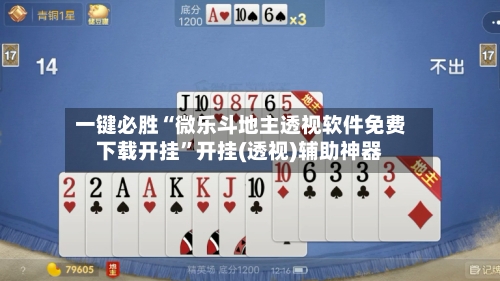 一键必胜“微乐斗地主透视软件免费下载开挂”开挂(透视)辅助神器-第2张图片