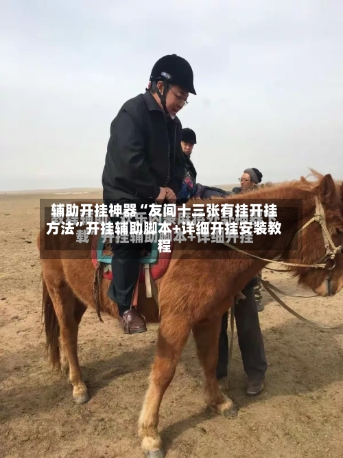 辅助开挂神器“友间十三张有挂开挂方法”开挂辅助脚本+详细开挂安装教程-第3张图片