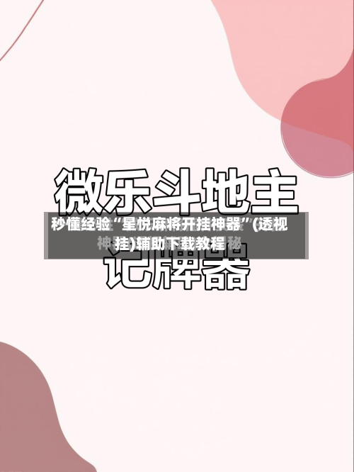 秒懂经验“星悦麻将开挂神器”(透视挂)辅助下载教程-第2张图片