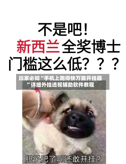 玩家必知“手机上跑得快万能开挂器”详细外挂透视辅助软件教程