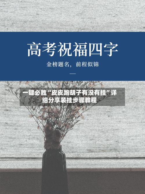 一键必胜“皮皮跑胡子有没有挂”详细分享装挂步骤教程-第2张图片