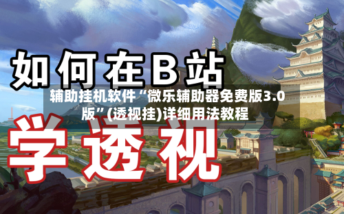 辅助挂机软件“微乐辅助器免费版3.0版”(透视挂)详细用法教程-第2张图片