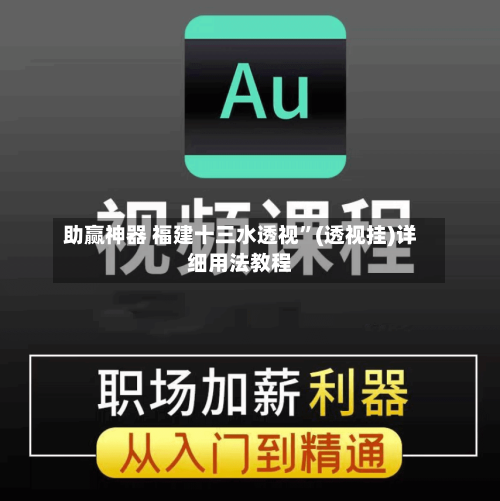 助赢神器 福建十三水透视”(透视挂)详细用法教程-第3张图片