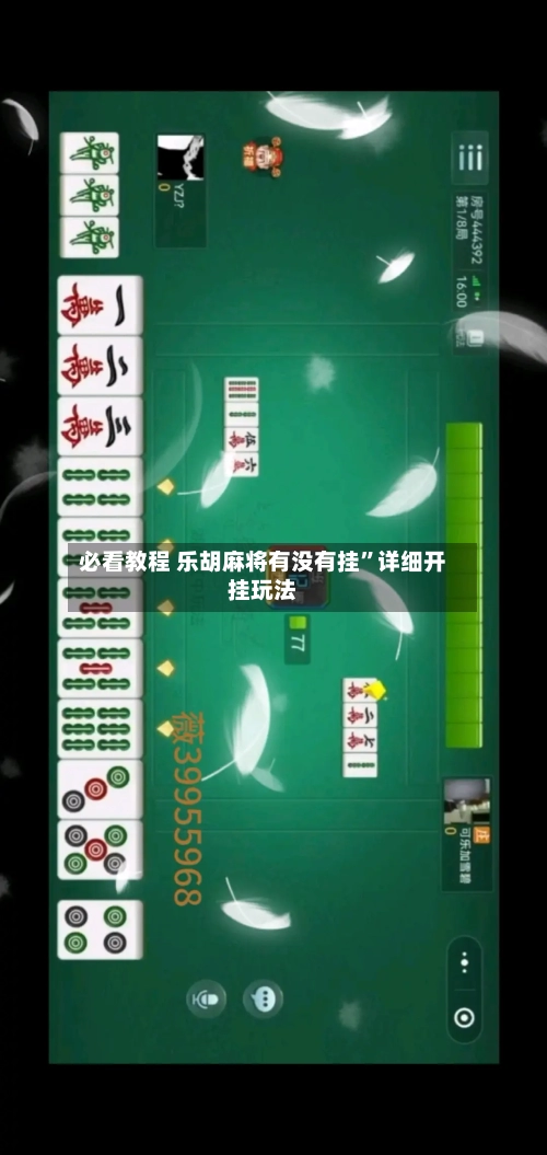 必看教程 乐胡麻将有没有挂”详细开挂玩法-第3张图片