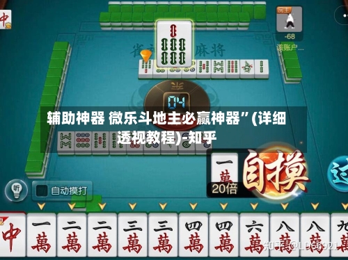 辅助神器 微乐斗地主必赢神器”(详细透视教程)-知乎-第2张图片