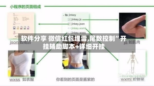 软件分享 微信红包埋雷,尾数控制	”开挂辅助脚本+详细开挂-第3张图片