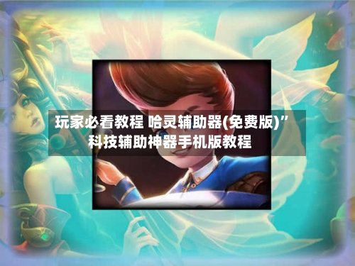 玩家必看教程 哈灵辅助器(免费版)”科技辅助神器手机版教程-第2张图片