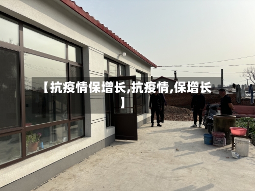 【抗疫情保增长,抗疫情,保增长】