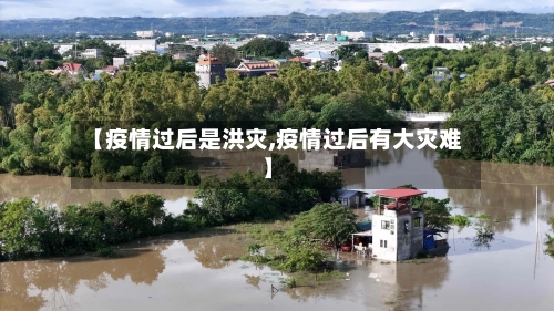 【疫情过后是洪灾,疫情过后有大灾难】-第2张图片