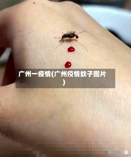广州一疫情(广州疫情蚊子图片)-第2张图片