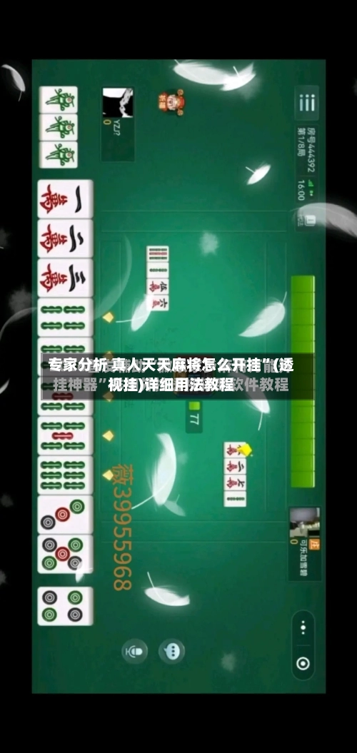 专家分析 真人天天麻将怎么开挂”(透视挂)详细用法教程-第3张图片