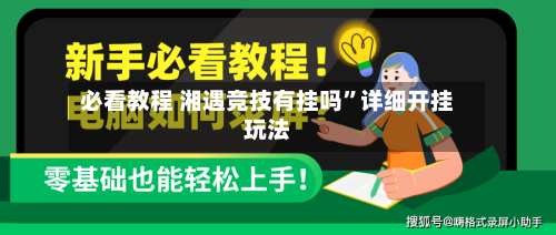 必看教程 湘遇竞技有挂吗”详细开挂玩法-第2张图片