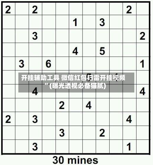 开挂辅助工具 微信红包扫雷开挂视频	”(曝光透视必备猫腻)-第2张图片