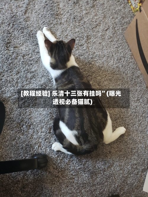 [教程经验] 乐清十三张有挂吗	”(曝光透视必备猫腻)-第2张图片