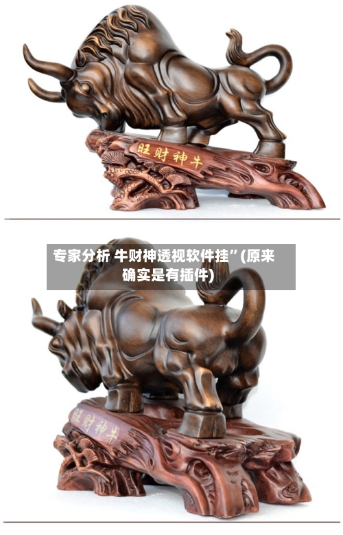 专家分析 牛财神透视软件挂”(原来确实是有插件)