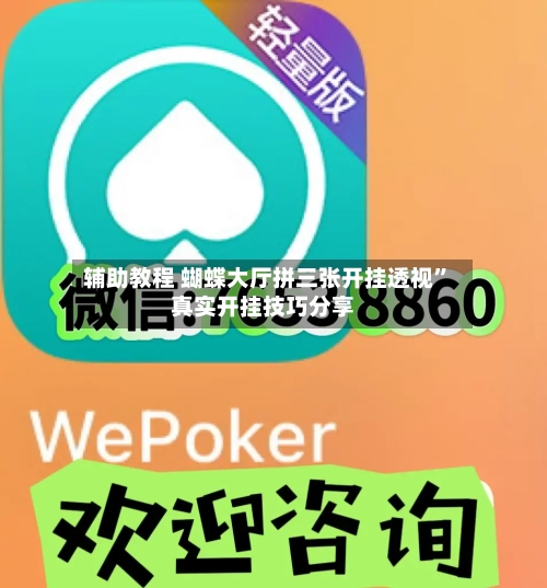辅助教程 蝴蝶大厅拼三张开挂透视”真实开挂技巧分享-第2张图片