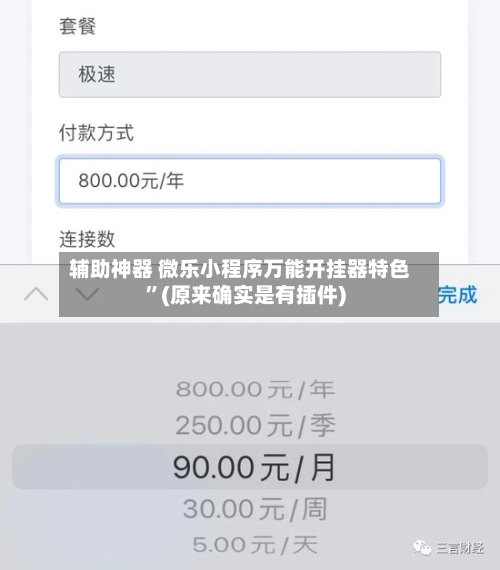 辅助神器 微乐小程序万能开挂器特色”(原来确实是有插件)-第2张图片