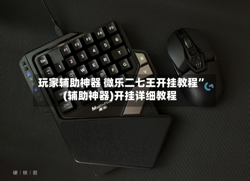玩家辅助神器 微乐二七王开挂教程	”(辅助神器)开挂详细教程-第3张图片