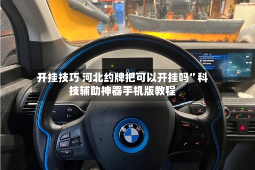开挂技巧 河北约牌把可以开挂吗	”科技辅助神器手机版教程-第2张图片