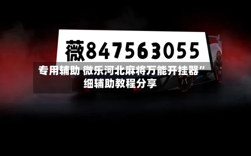 专用辅助 微乐河北麻将万能开挂器	”细辅助教程分享-第2张图片