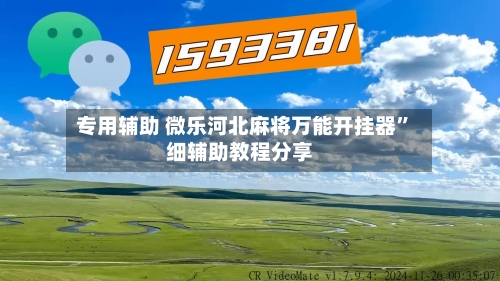 专用辅助 微乐河北麻将万能开挂器”细辅助教程分享-第3张图片