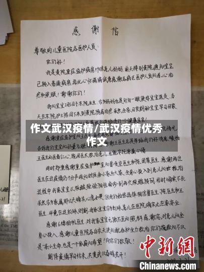 作文武汉疫情/武汉疫情优秀作文