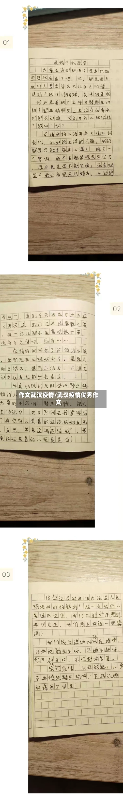 作文武汉疫情/武汉疫情优秀作文-第2张图片