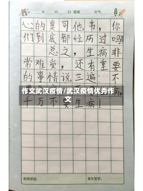 作文武汉疫情/武汉疫情优秀作文-第3张图片