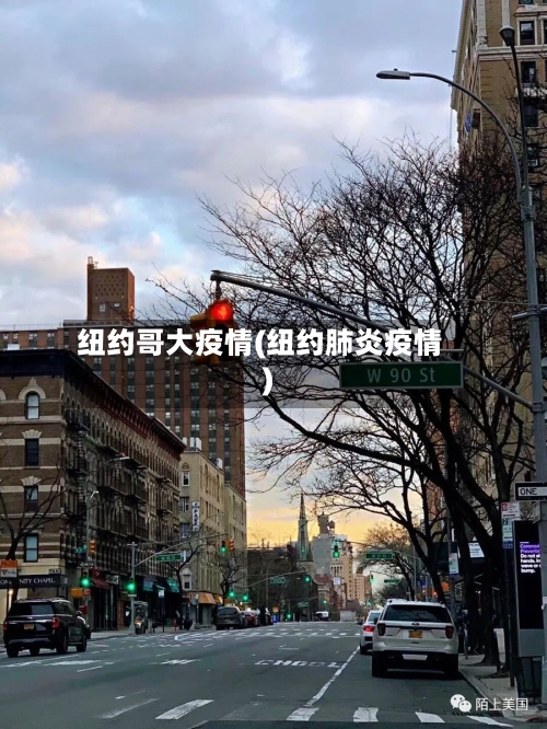 纽约哥大疫情(纽约肺炎疫情)-第2张图片