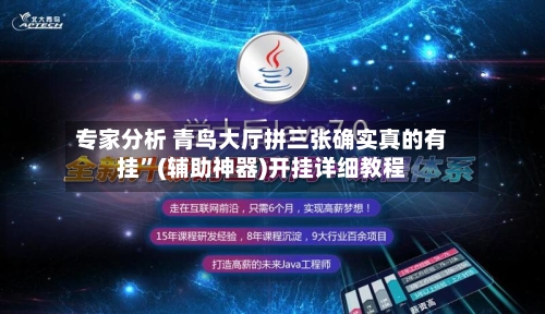 专家分析 青鸟大厅拼三张确实真的有挂”(辅助神器)开挂详细教程-第2张图片