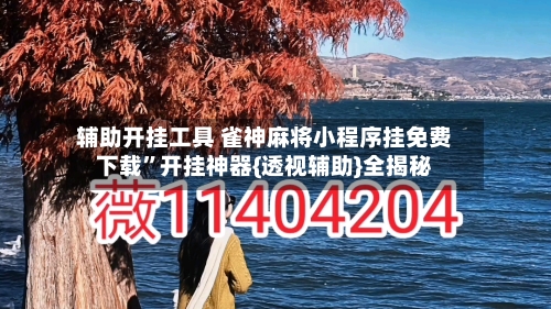 辅助开挂工具 雀神麻将小程序挂免费下载”开挂神器{透视辅助}全揭秘-第3张图片