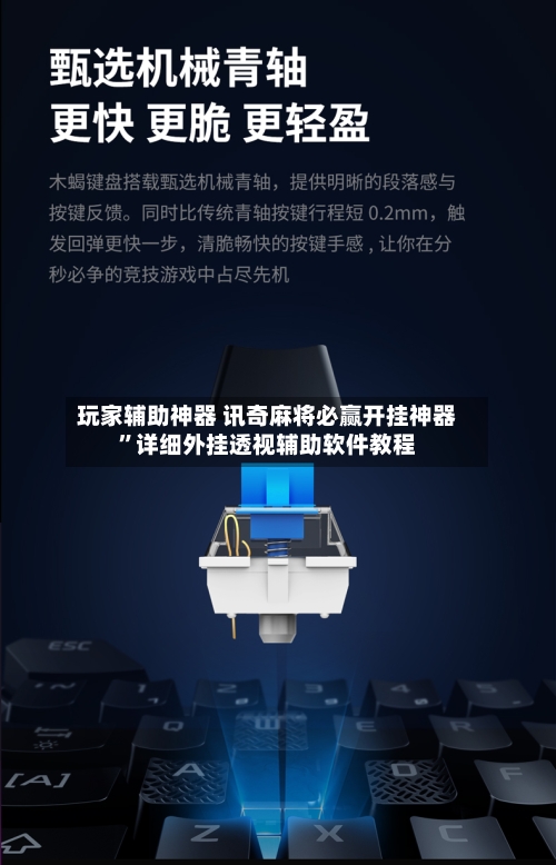 玩家辅助神器 讯奇麻将必赢开挂神器”详细外挂透视辅助软件教程-第3张图片