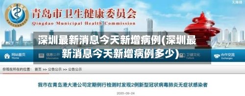 深圳最新消息今天新增病例(深圳最新消息今天新增病例多少)-第2张图片