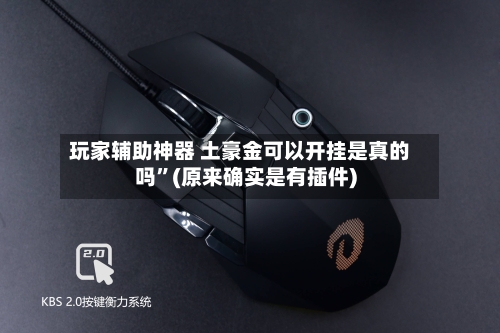 玩家辅助神器 土豪金可以开挂是真的吗	”(原来确实是有插件)-第2张图片