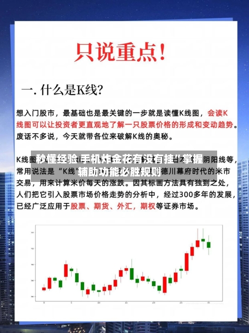 秒懂经验 手机炸金花有没有挂”掌握辅助功能必胜规则-第3张图片