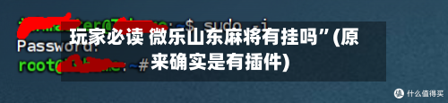 玩家必读 微乐山东麻将有挂吗”(原来确实是有插件)-第2张图片