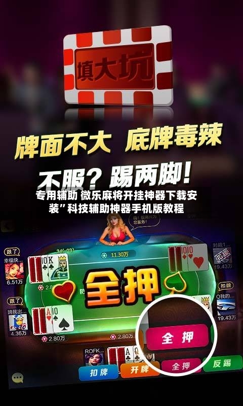 专用辅助 微乐麻将开挂神器下载安装”科技辅助神器手机版教程-第2张图片