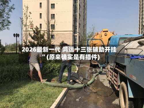 2026最新一代 鸿运十三张辅助开挂”(原来确实是有插件)-第2张图片