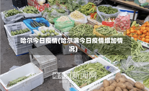 哈尔今日疫情(哈尔滨今日疫情增加情况)