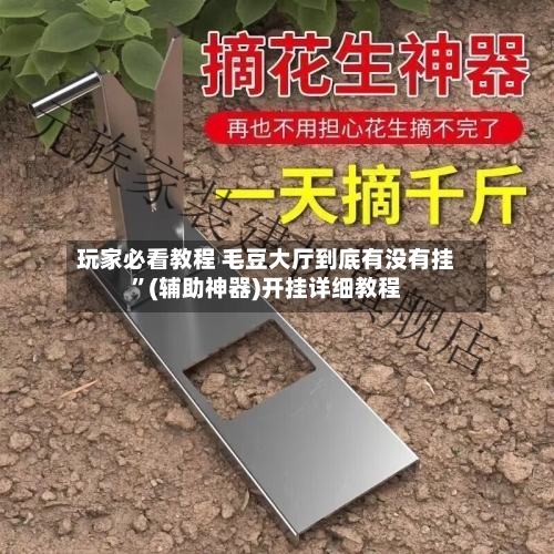 玩家必看教程 毛豆大厅到底有没有挂	”(辅助神器)开挂详细教程-第2张图片