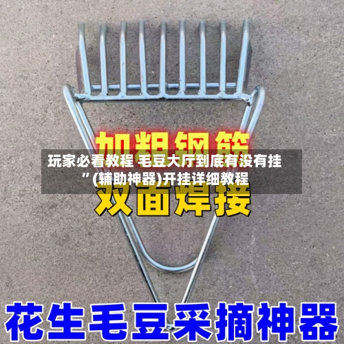 玩家必看教程 毛豆大厅到底有没有挂”(辅助神器)开挂详细教程-第3张图片
