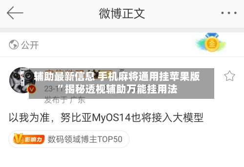 辅助最新信息 手机麻将通用挂苹果版”揭秘透视辅助万能挂用法-第3张图片